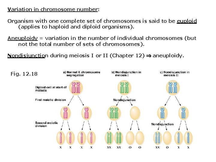 Variation in chromosome number: Organism with one complete set of chromosomes is said to