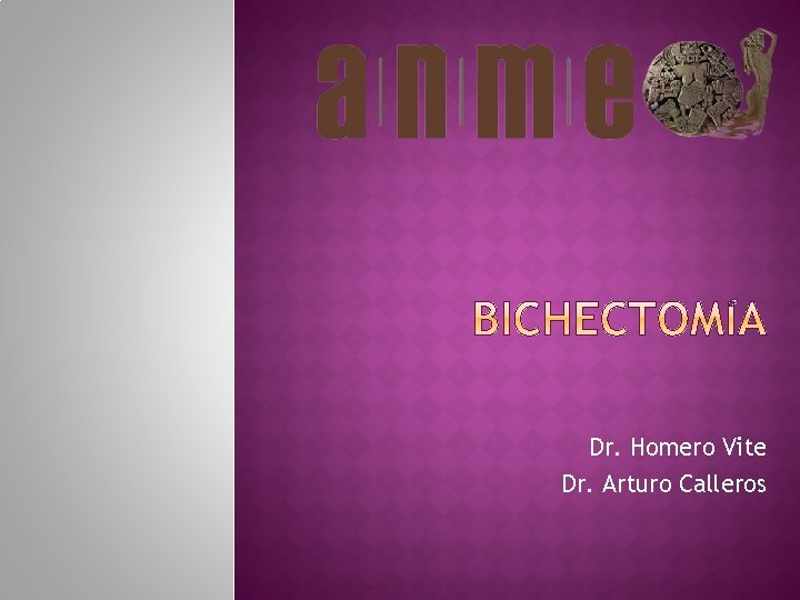 Dr. Homero Vite Dr. Arturo Calleros 