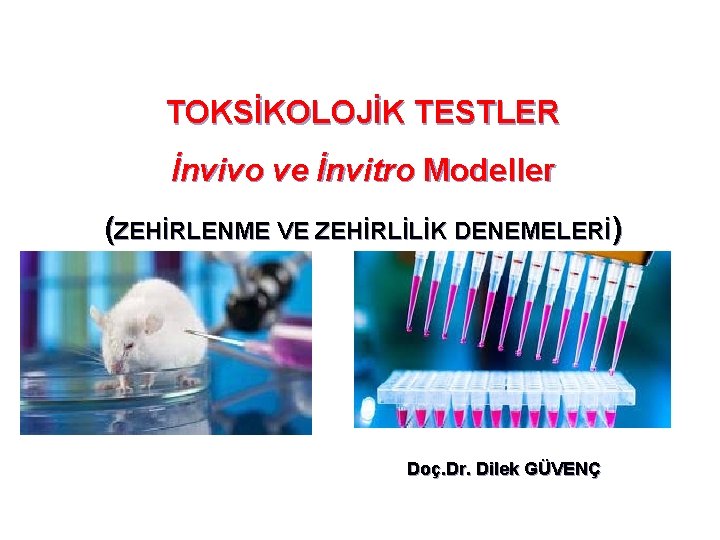 TOKSİKOLOJİK TESTLER İnvivo ve İnvitro Modeller (ZEHİRLENME VE ZEHİRLİLİK DENEMELERİ) Doç. Dr. Dilek GÜVENÇ