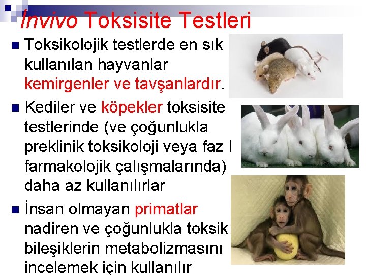İnvivo Toksisite Testleri Toksikolojik testlerde en sık kullanılan hayvanlar kemirgenler ve tavşanlardır. n Kediler