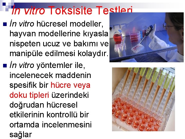 İn vitro Toksisite Testleri İn vitro hücresel modeller, hayvan modellerine kıyasla nispeten ucuz ve