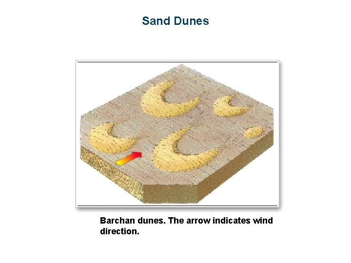 Sand Dunes Barchan dunes. The arrow indicates wind direction. 