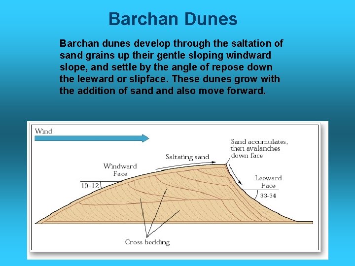 Barchan Dunes Barchan dunes develop through the saltation of sand grains up their gentle