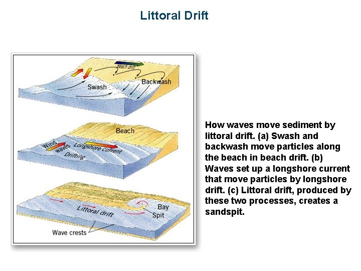 Littoral Drift How waves move sediment by littoral drift. (a) Swash and backwash move