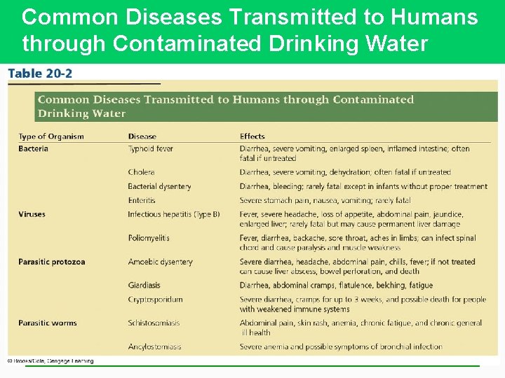 Common Diseases Transmitted to Humans through Contaminated Drinking Water 