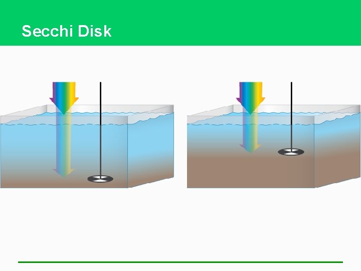 Secchi Disk 