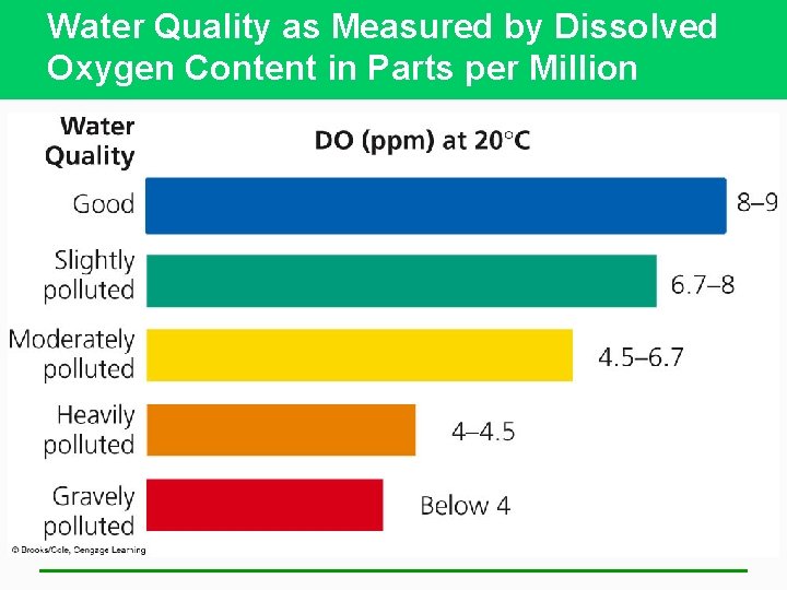 Water Quality as Measured by Dissolved Oxygen Content in Parts per Million 