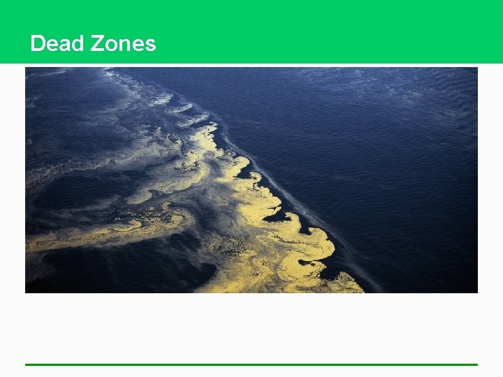 Dead Zones 