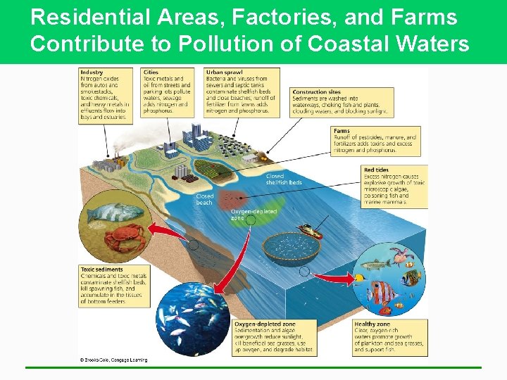 Residential Areas, Factories, and Farms Contribute to Pollution of Coastal Waters 