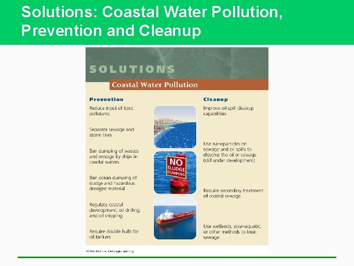 Solutions: Coastal Water Pollution, Prevention and Cleanup 