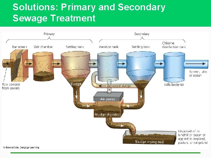 Solutions: Primary and Secondary Sewage Treatment 