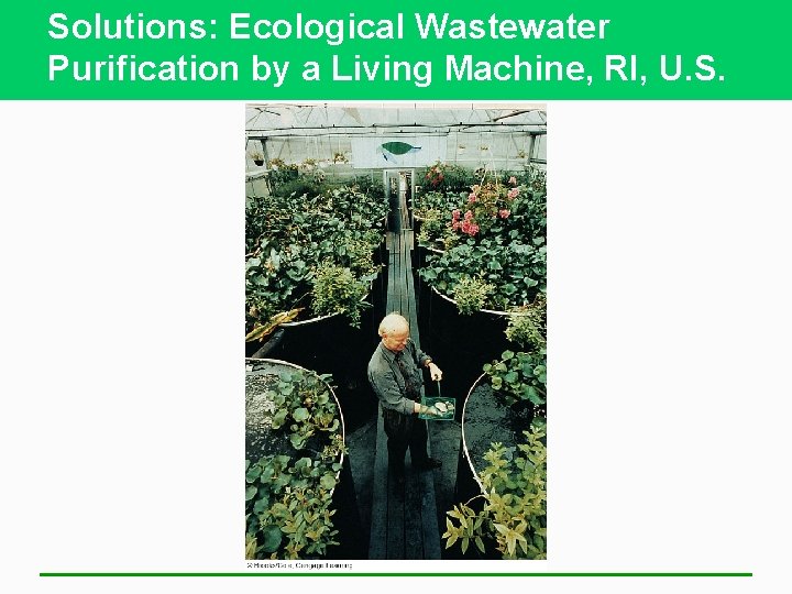 Solutions: Ecological Wastewater Purification by a Living Machine, RI, U. S. 