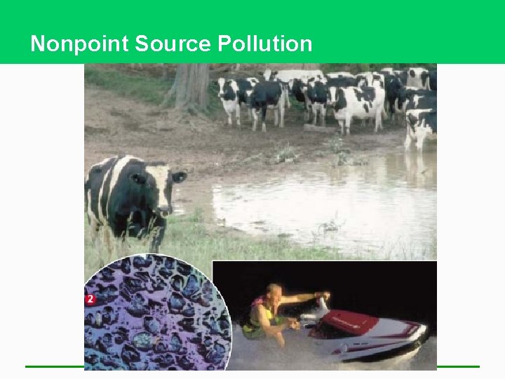 Nonpoint Source Pollution 