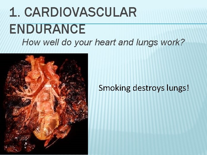 1. CARDIOVASCULAR ENDURANCE How well do your heart and lungs work? Smoking destroys lungs!