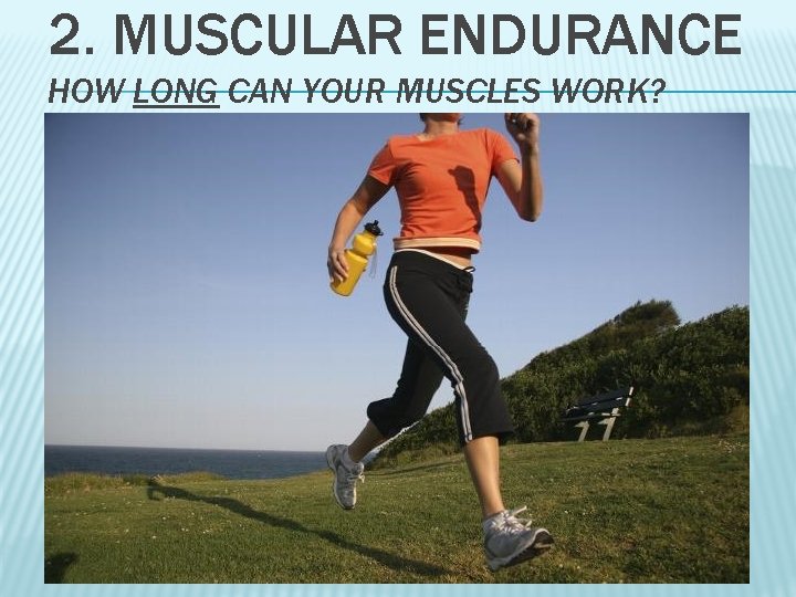 2. MUSCULAR ENDURANCE HOW LONG CAN YOUR MUSCLES WORK? 