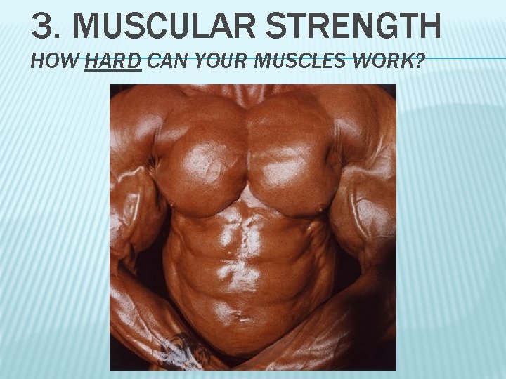 3. MUSCULAR STRENGTH HOW HARD CAN YOUR MUSCLES WORK? 