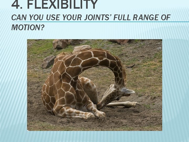 4. FLEXIBILITY CAN YOU USE YOUR JOINTS’ FULL RANGE OF MOTION? 