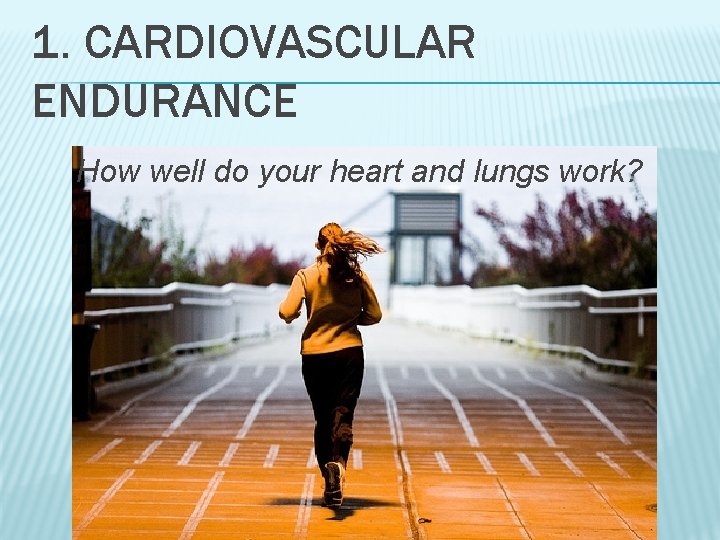 1. CARDIOVASCULAR ENDURANCE How well do your heart and lungs work? 