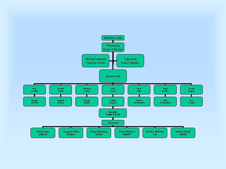 Struktura Tide Předseda Sean Gibbons Místopředseda Patricia Hehir Tajemník Kevin Martin Správní rada Noel