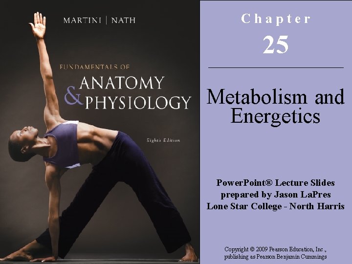 Chapter 25 Metabolism and Energetics Power. Point® Lecture Slides prepared by Jason La. Pres