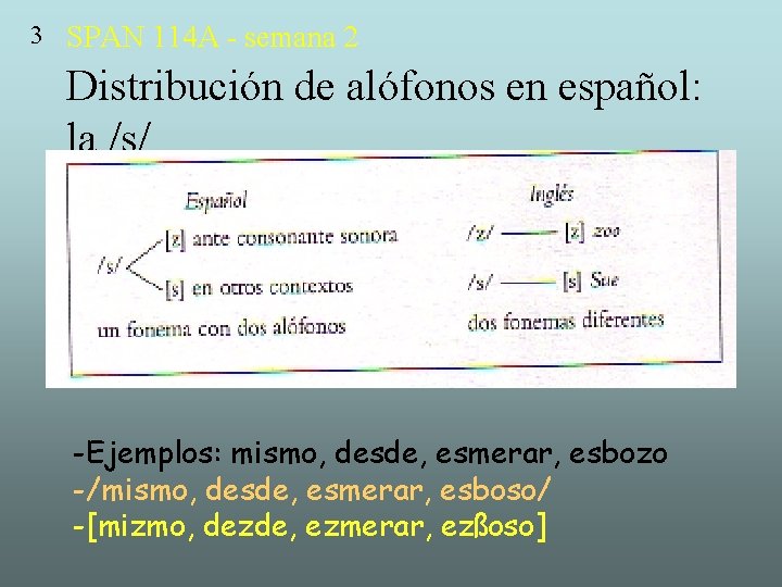 3 SPAN 114 A - semana 2 Distribución de alófonos en español: la /s/