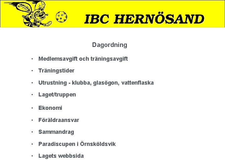 Dagordning • Medlemsavgift och träningsavgift • Träningstider • Utrustning - klubba, glasögon, vattenflaska •