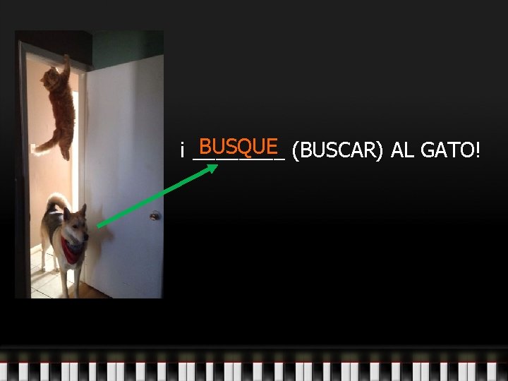 BUSQUE (BUSCAR) AL GATO! ¡ ____ 