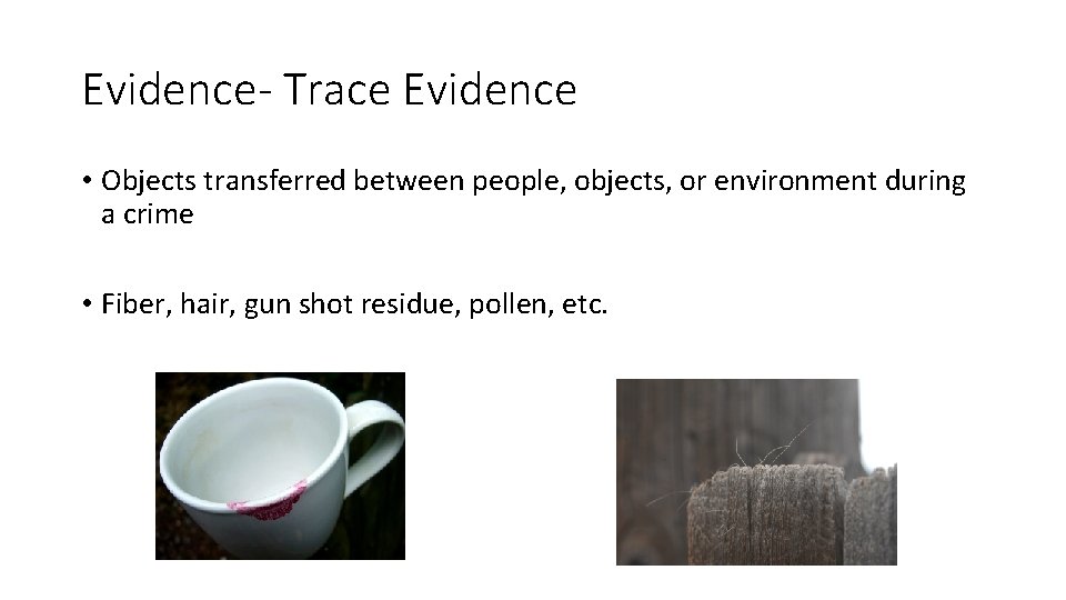 Evidence- Trace Evidence • Objects transferred between people, objects, or environment during a crime