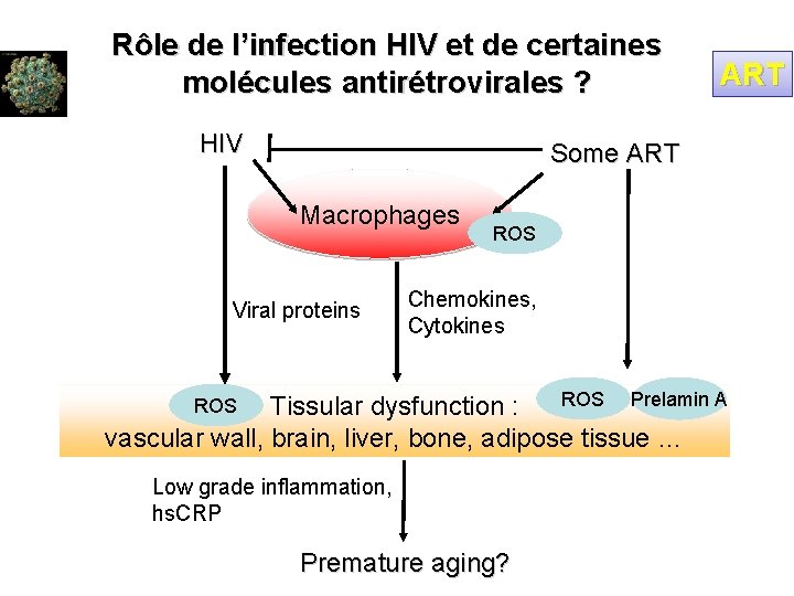 Rôle de l’infection HIV et de certaines molécules antirétrovirales ? HIV ART Some ART