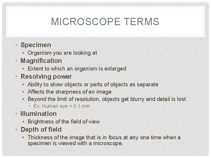 MICROSCOPE TERMS • Specimen • Organism you are looking at • Magnification • Extent