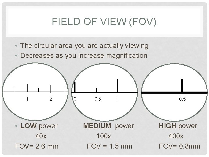 FIELD OF VIEW (FOV) • The circular area you are actually viewing • Decreases