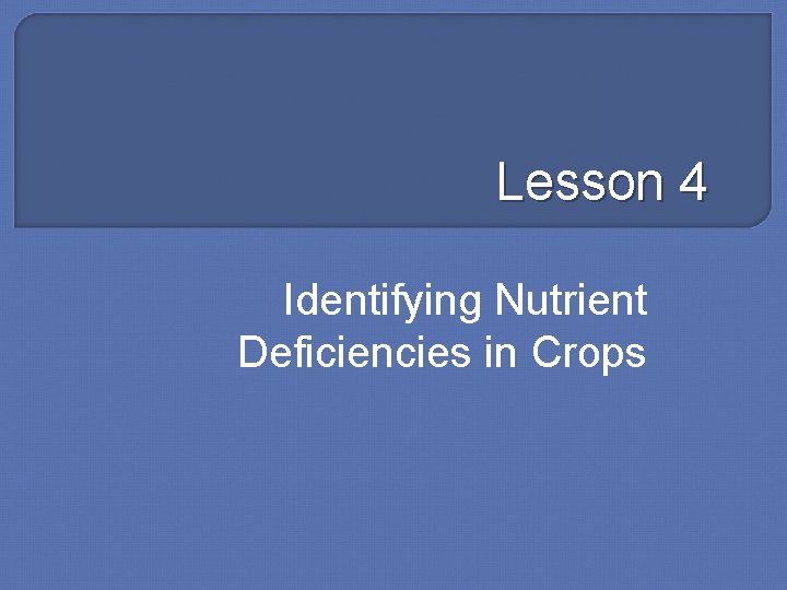 Lesson 4 Identifying Nutrient Deficiencies in Crops 