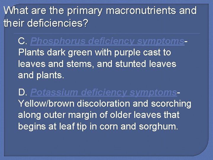 What are the primary macronutrients and their deficiencies? C. Phosphorus deficiency symptoms. Plants dark