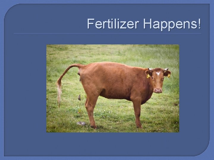 Fertilizer Happens! 