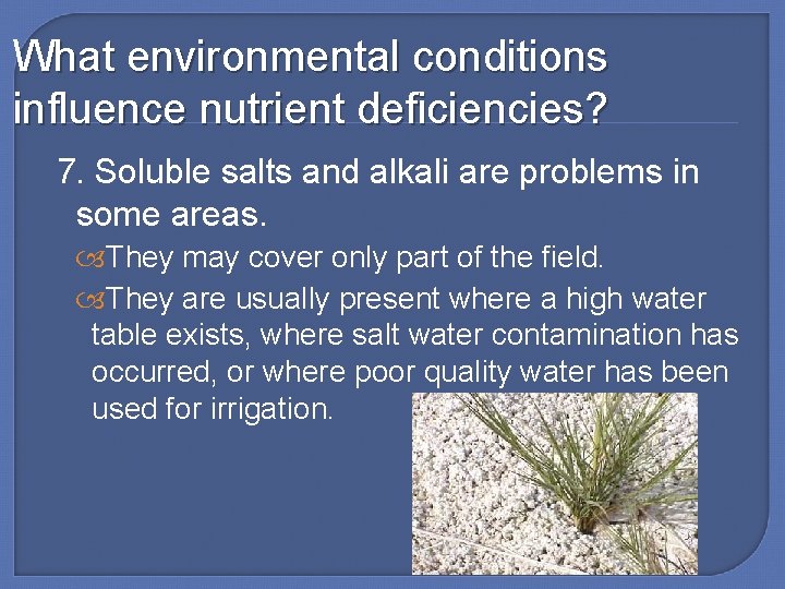 What environmental conditions influence nutrient deficiencies? 7. Soluble salts and alkali are problems in