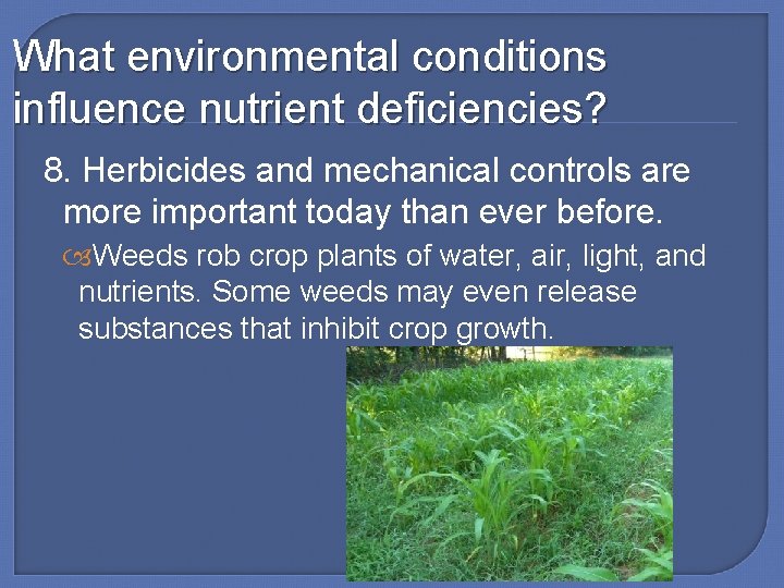What environmental conditions influence nutrient deficiencies? 8. Herbicides and mechanical controls are more important