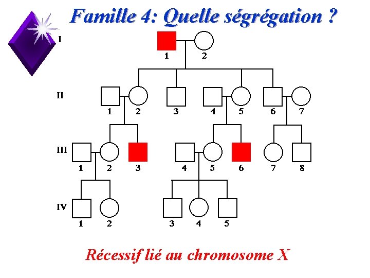 Famille 4: Quelle ségrégation ? Récessif lié au chromosome X 21 