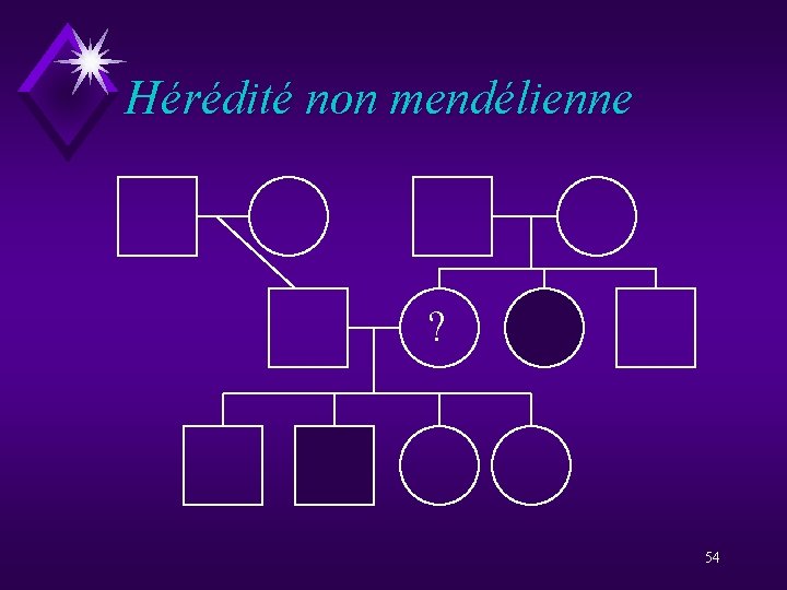 Hérédité non mendélienne ? 54 