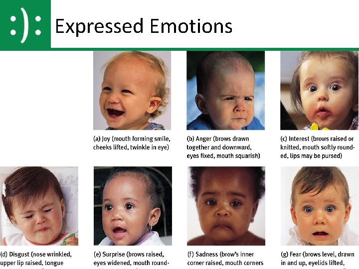 Expressed Emotions 5 