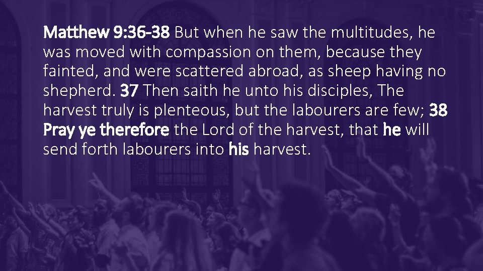 Matthew 9: 36 -38 But when he saw the multitudes, he was moved with Matthew 9: 36 -38 But when he saw the multitudes, he was moved with