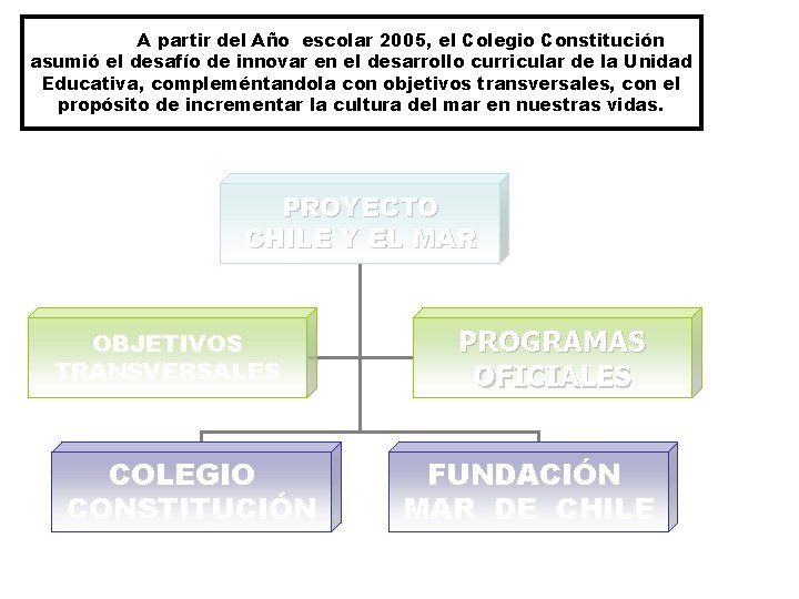 A partir del Año escolar 2005, el Colegio Constitución asumió el desafío de innovar