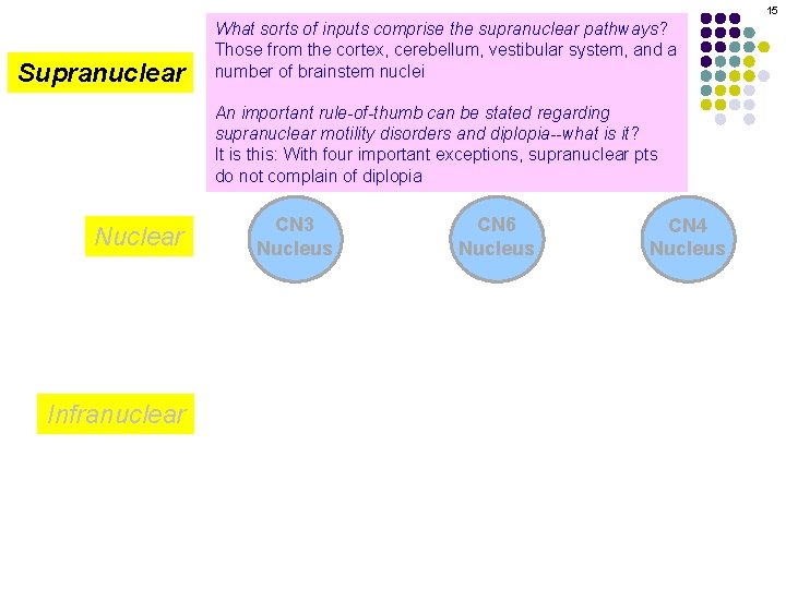 15 Supranuclear What sorts of inputs comprise the supranuclear pathways? Those from the cortex,