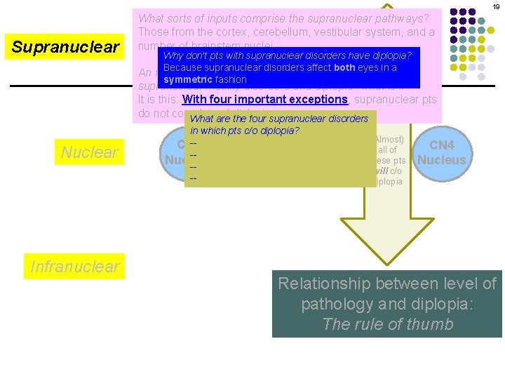 19 Supranuclear What sorts of inputs comprise the supranuclear pathways? Motility Disorders: Overview (Almost)