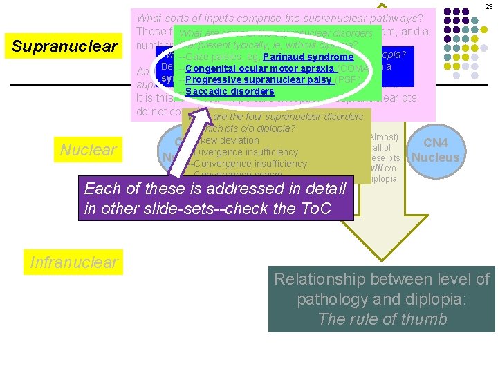 23 Supranuclear What sorts of inputs comprise the supranuclear pathways? Motility Disorders: Overview (Almost)