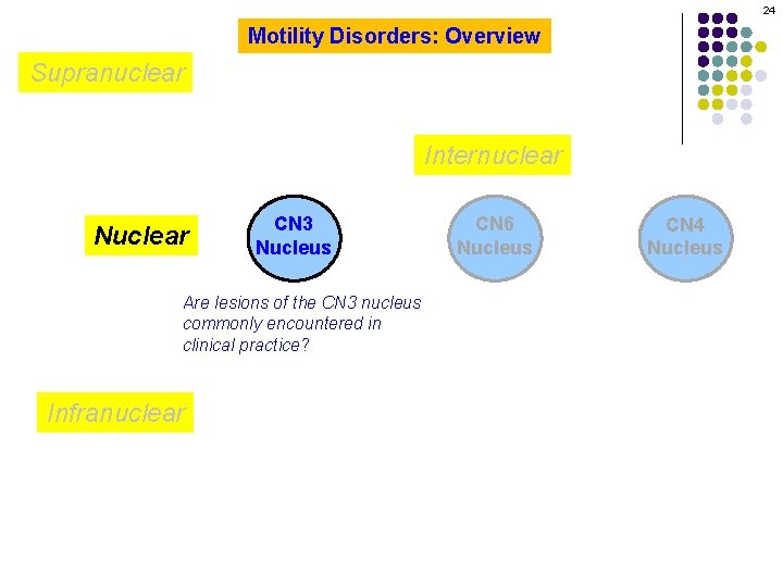 24 Motility Disorders: Overview Supranuclear Internuclear Nuclear CN 3 Nucleus Are lesions of the