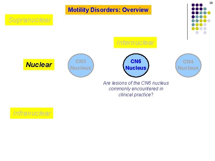 28 Motility Disorders: Overview Supranuclear Internuclear Nuclear CN 3 Nucleus CN 6 Nucleus Are