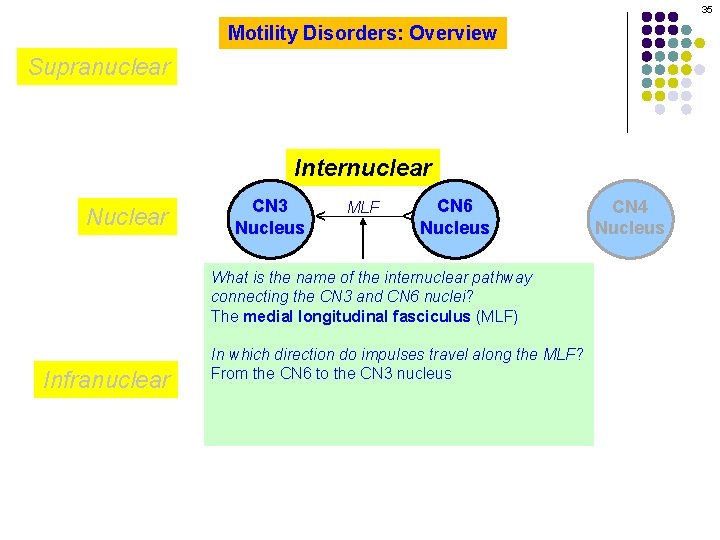 35 Motility Disorders: Overview Supranuclear CN 3 Nucleus MLF CN 6 Nucleus ^ Nuclear