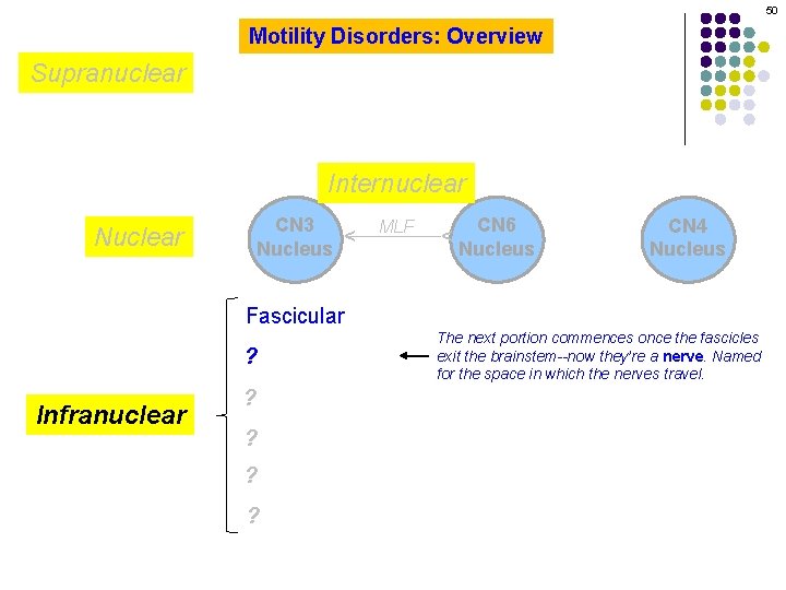 50 Motility Disorders: Overview Supranuclear MLF CN 6 Nucleus ^ CN 3 Nucleus Nuclear