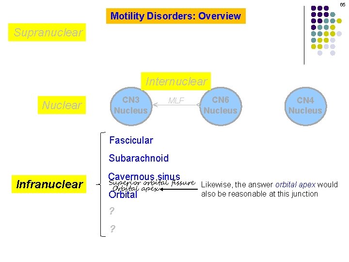 65 Motility Disorders: Overview Supranuclear CN 3 Nucleus MLF CN 6 Nucleus ^ Nuclear