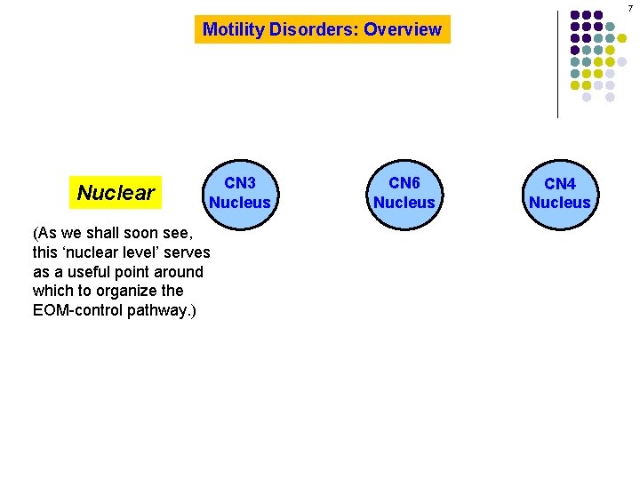 7 Motility Disorders: Overview Nuclear CN 3 Nucleus (As we shall soon see, this